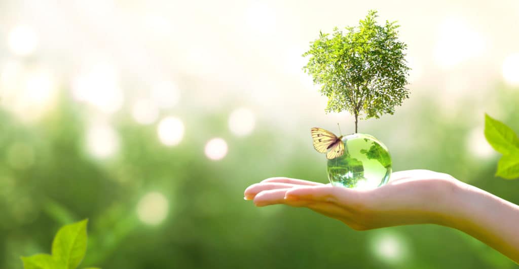 Earth crystal glass globe ball and growing tree in human hand, flying butterfly on green background | Viata Aesthetics and Wellness in Katy TX