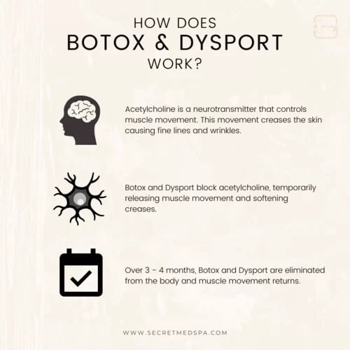 How does Botox and Dysport work? | Viata Aesthetics and Wellness in Katy TX